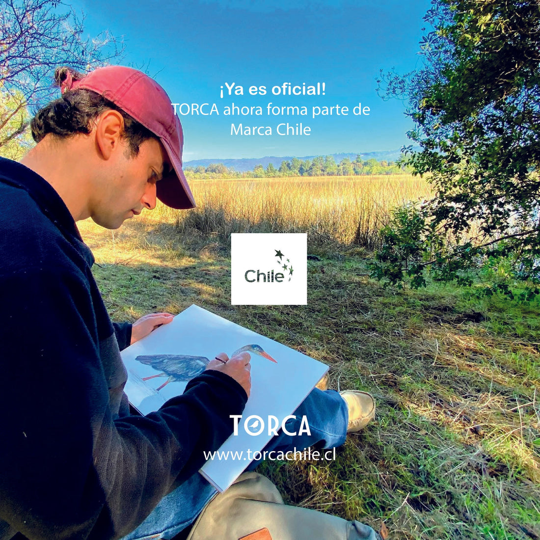 TORCA ya es parte de Marca Chile: arte, biodiversidad y territorio con sello nacional