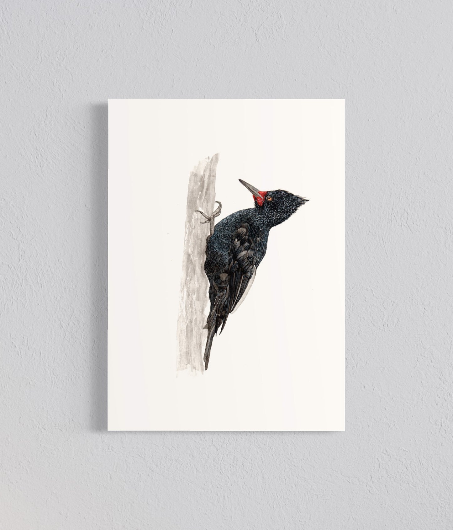 PACK Ilustraciones Carpinteros