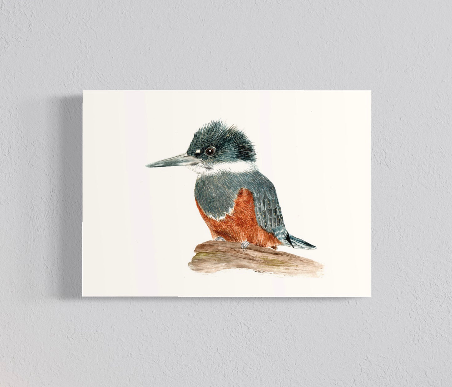 PACK Ilustraciones Martines