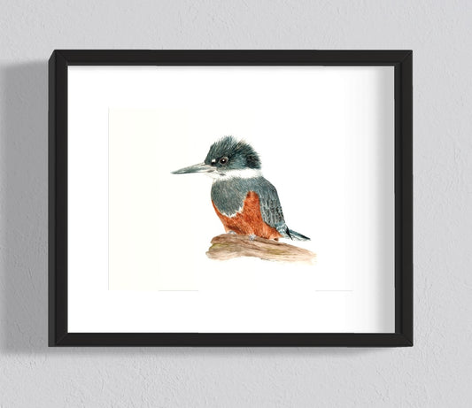 CUADRO MARTIN PESCADOR HEMBRA