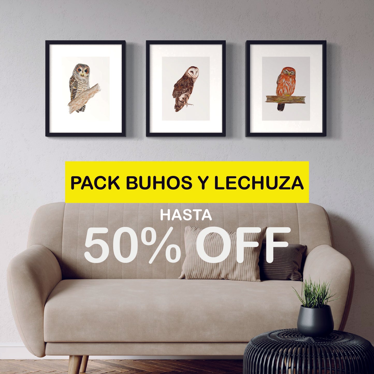 Pack Ilustraciones Búhos y Lechuzas
