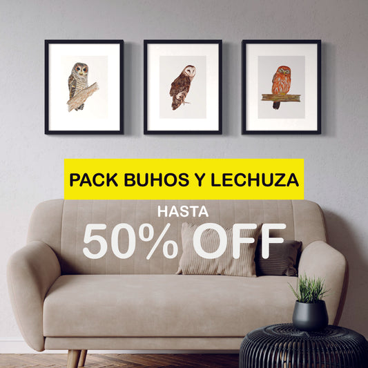 Pack Ilustraciones Búhos y Lechuzas