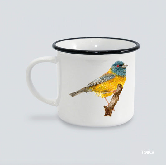 Tacho enlozado Cometocino Patagónico