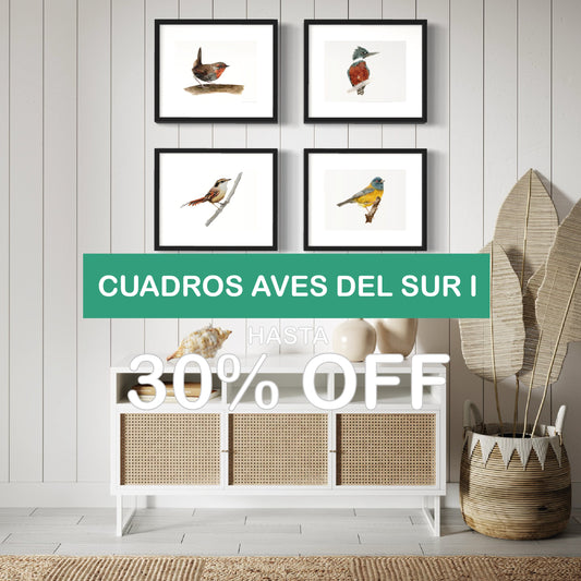 PACK 4 CUADROS AVES DEL SUR I