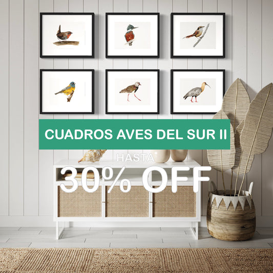 PACK 6 CUADROS AVES DEL SUR II