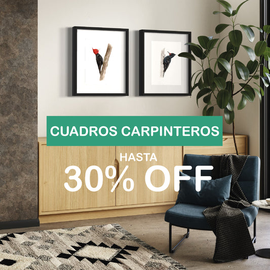 PACK 2 CUADROS CARPINTERO NEGRO M Y H