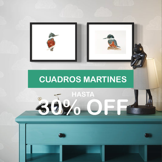 PACK 2 CUADROS MARTIN PESCADOR M Y H