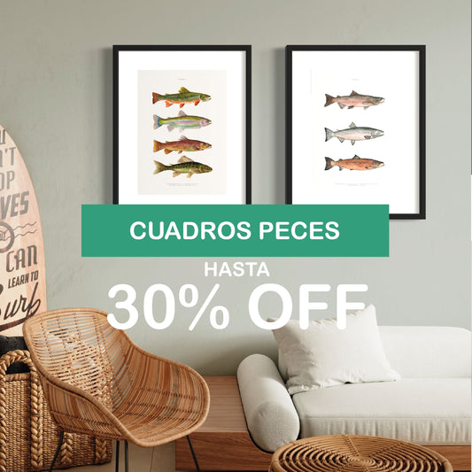 PACK 2 CUADROS TRUCHAS Y SALMONES