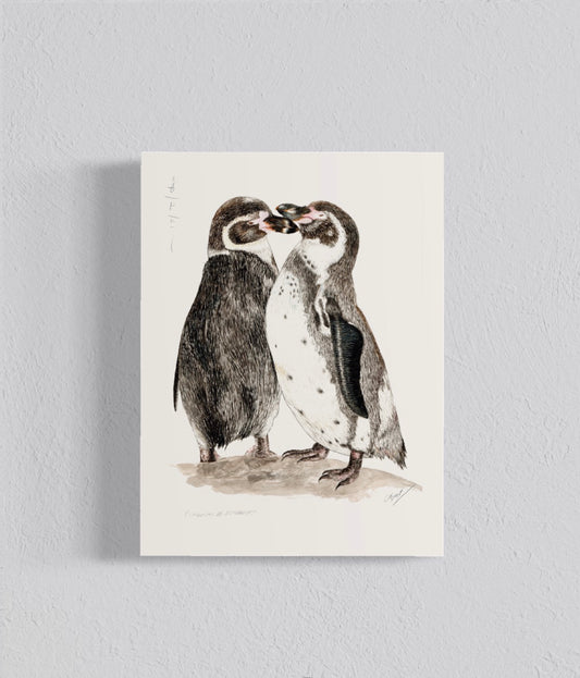 Ilustración Pingüino de Humboldt