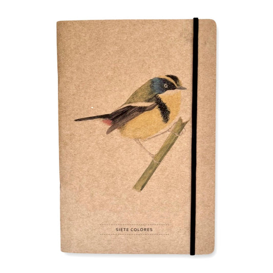 Libreta de apuntes Siete colores