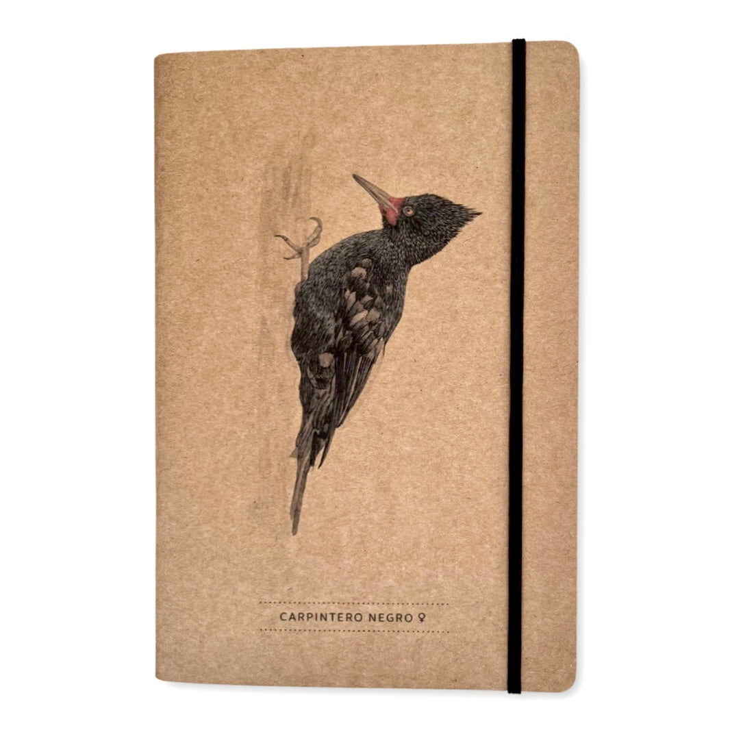 Pack libreta de apuntes