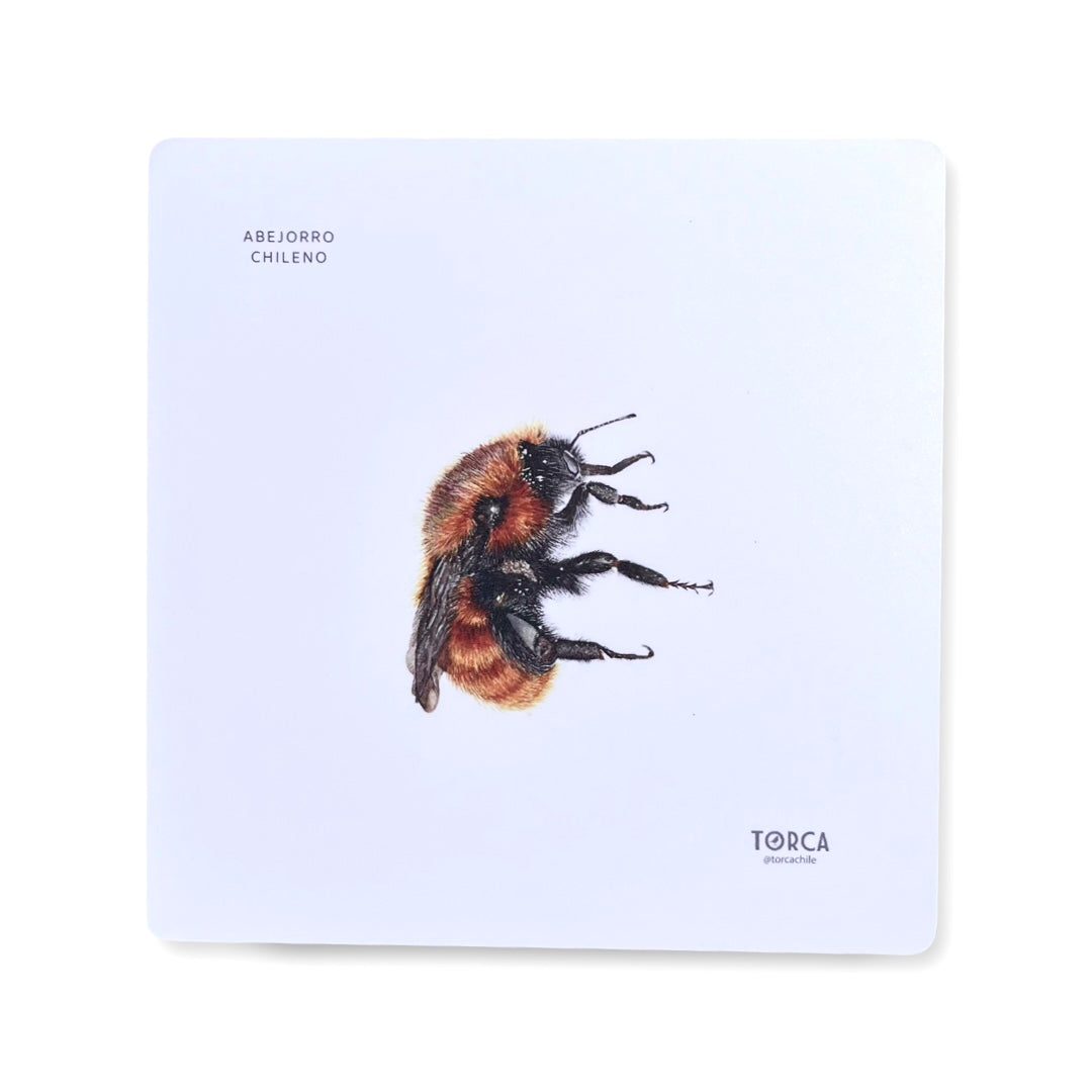 Mouse pad Abejorro chileno