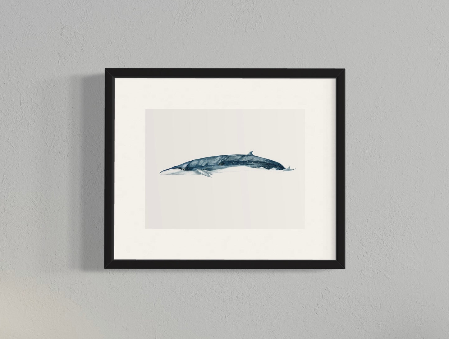CUADRO BALLENA SEI