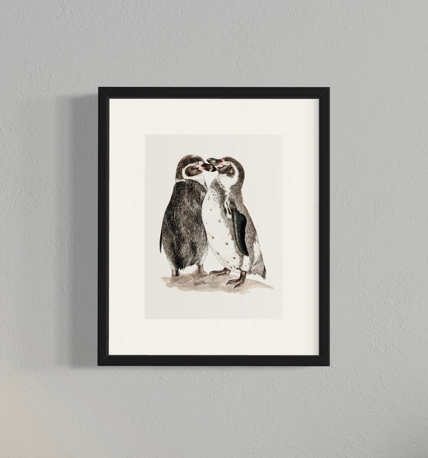 CUADRO PINGÜINO DE HUMBOLDT