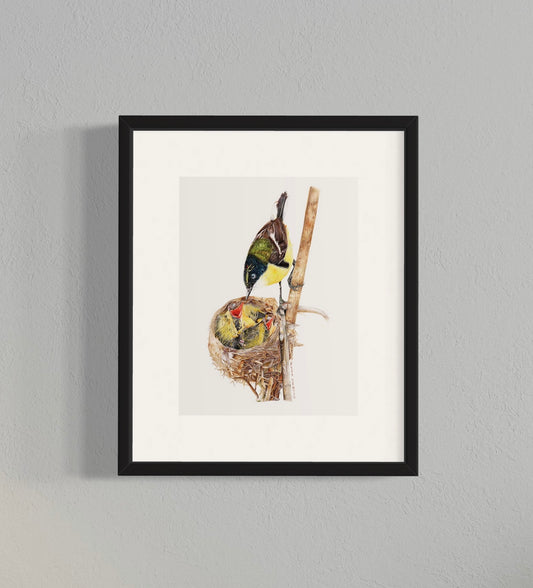 CUADRO SIETE COLORES Y POLLUELOS