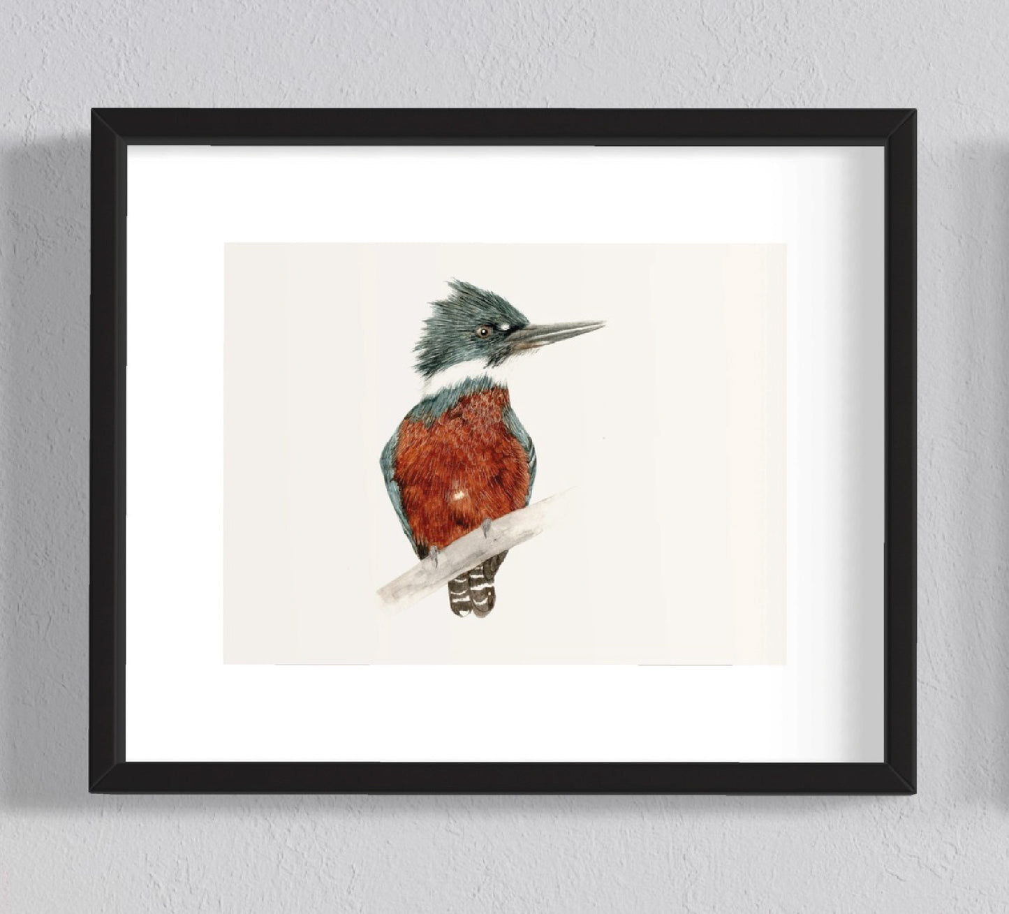 Ilustración Martín Pescador