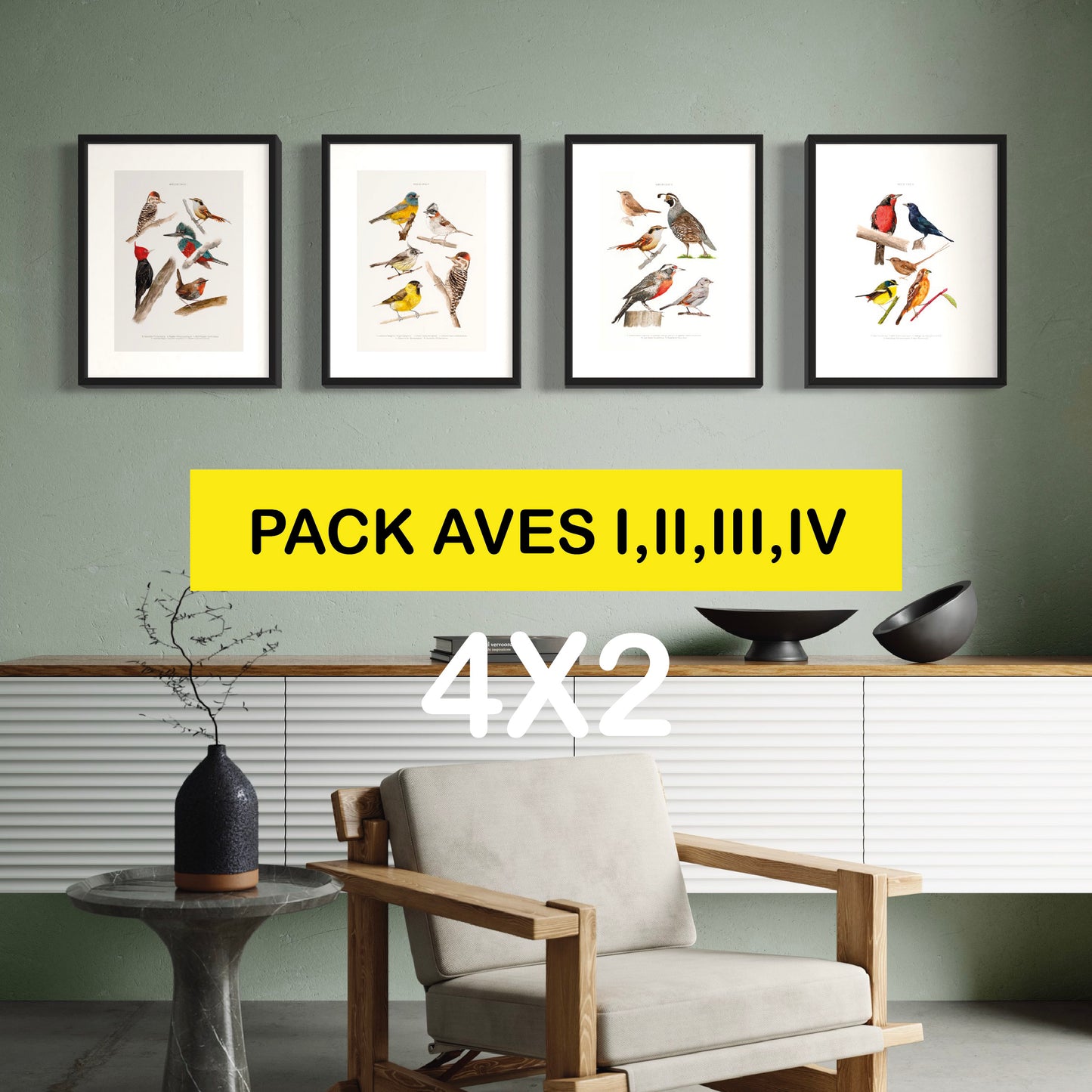 Pack Ilustraciones Aves Norte a Sur