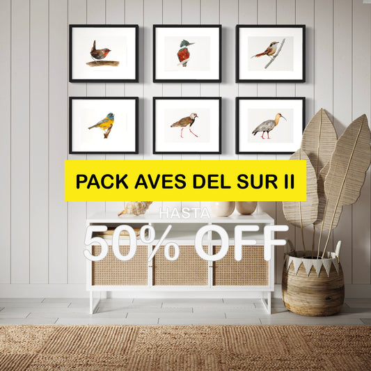 Pack Ilustraciones Aves del Sur II