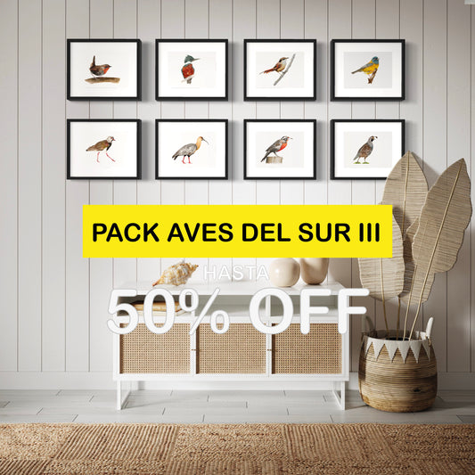 Pack Ilustraciones Aves del Sur III