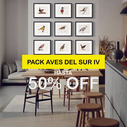 Pack Ilustraciones Aves del Sur IV