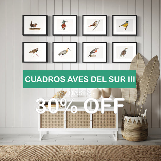 PACK 8 CUADROS AVES DEL SUR III