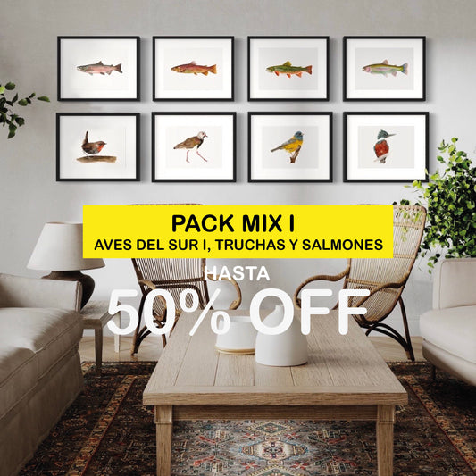Pack Mix I, Ilustraciones Aves del sur, Truchas y Salmones