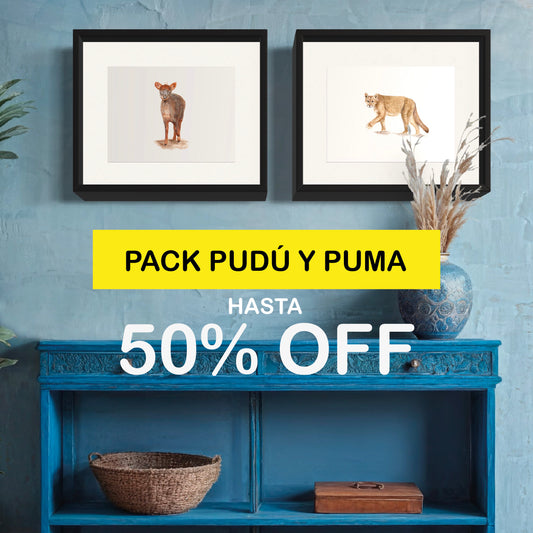 PACK Ilustraciones Pudú y Puma