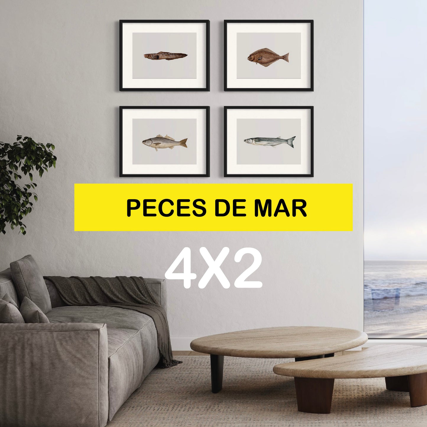 Pack Ilustraciones Peces de Mar