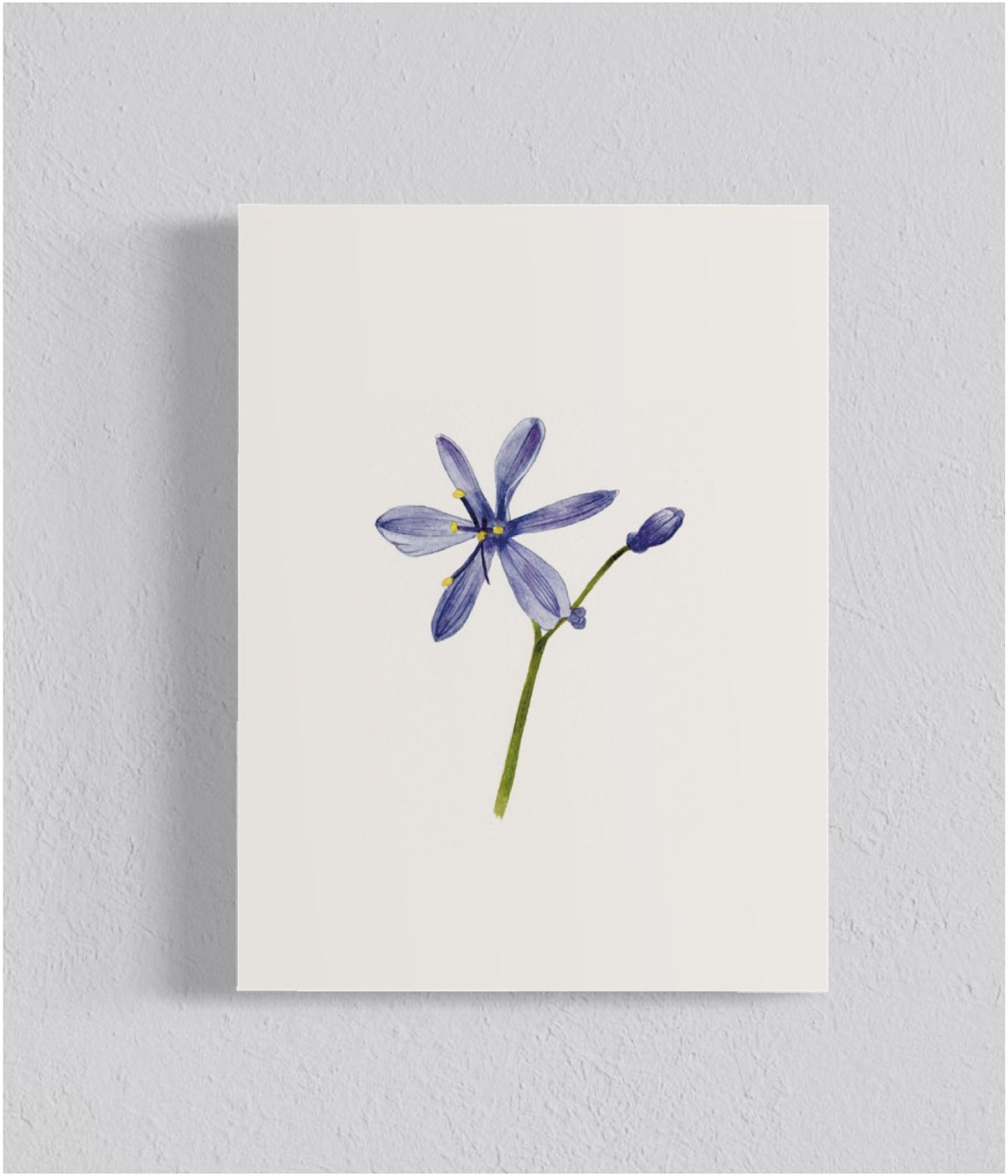 Pack Ilustraciones Flores