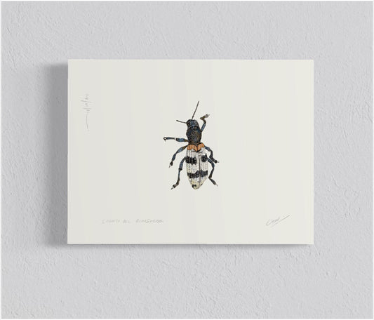 Ilustración Cabrito del Duraznero