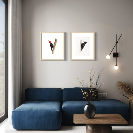 PACK 2 CUADROS CARPINTERO NEGRO MYH