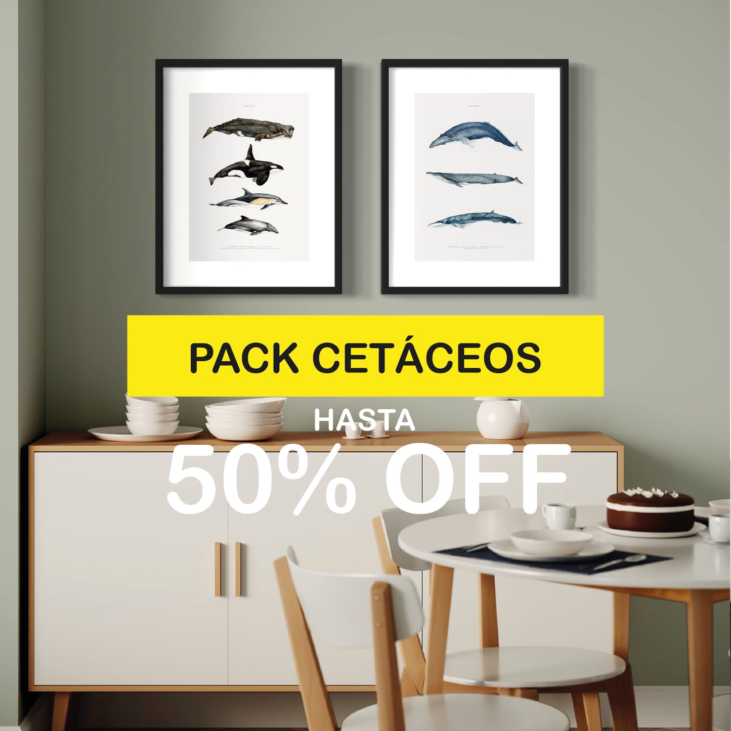 PACK Ilustraciones Cetáceos