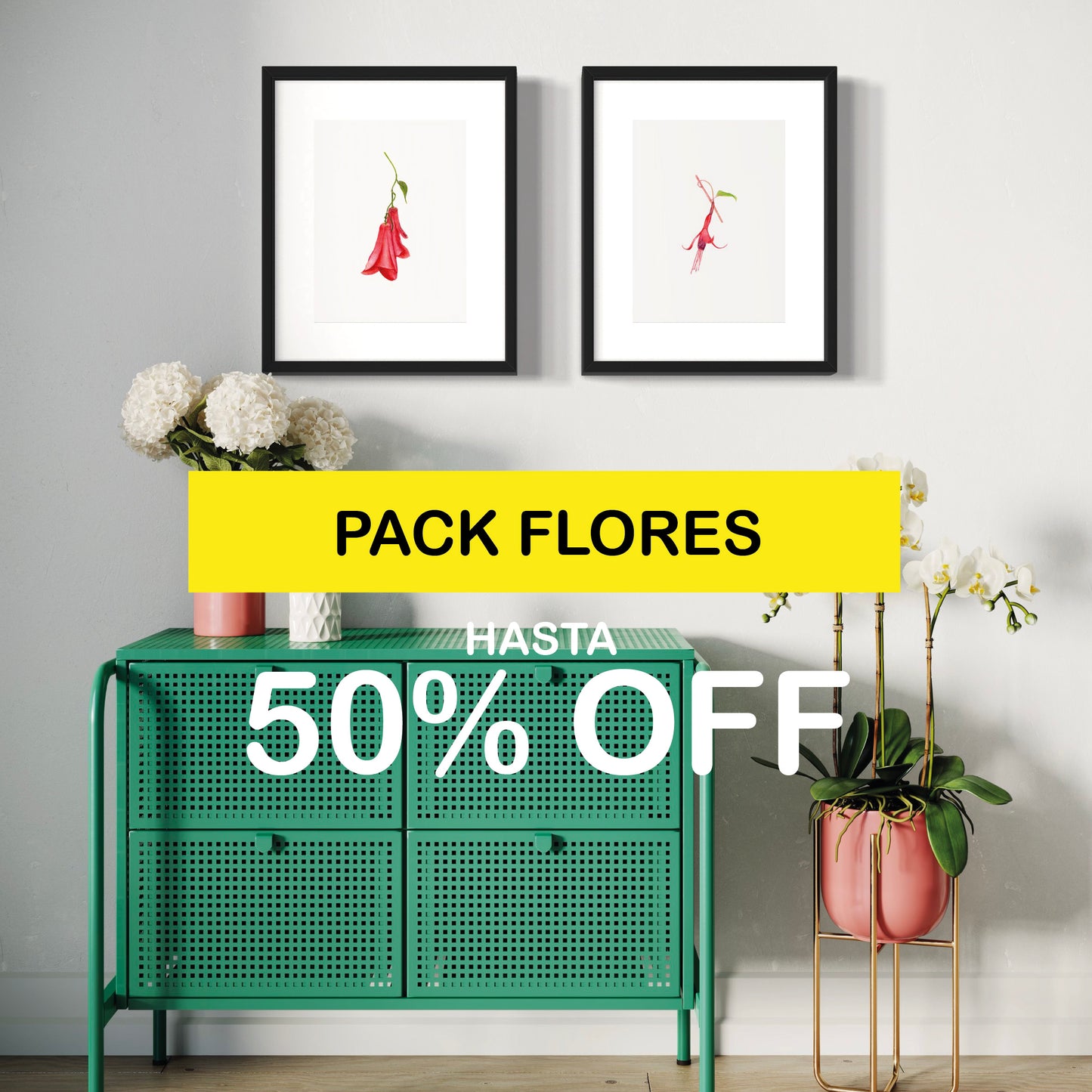 PACK Ilustraciones Flores