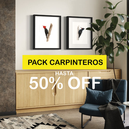 PACK Ilustraciones Carpinteros