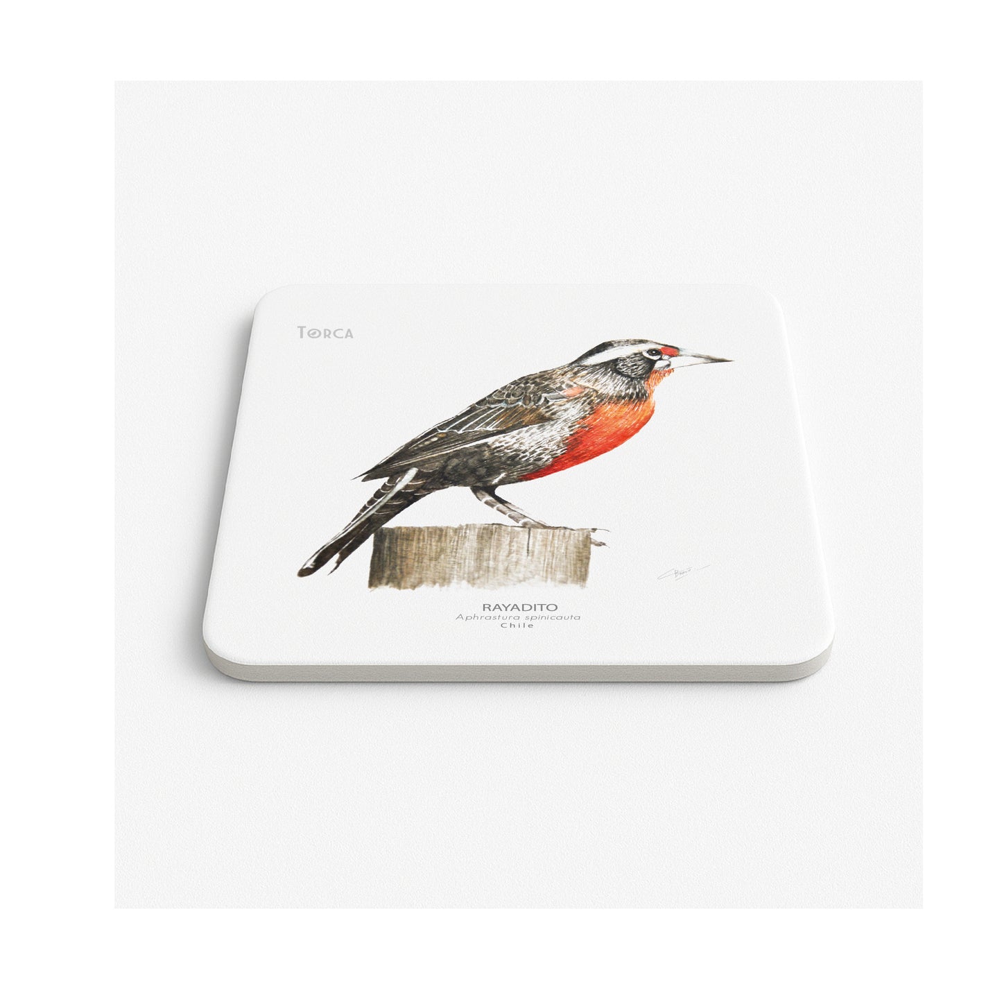 Mouse pad Loica