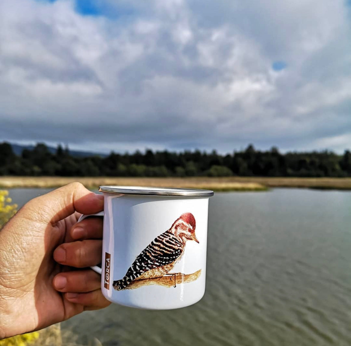 Tacho Carpinterito