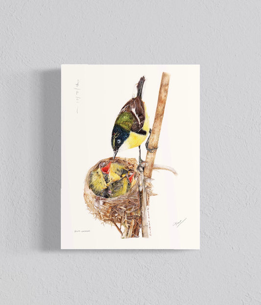 Ilustración Siete colores con polluelos