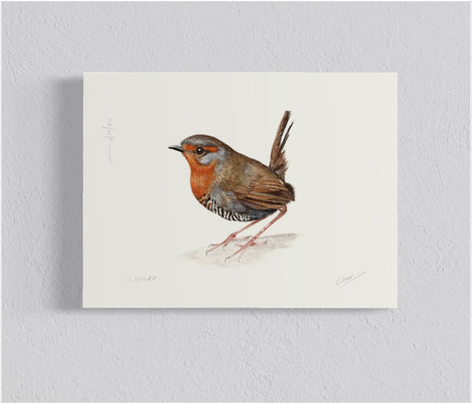 Ilustración Chucao II