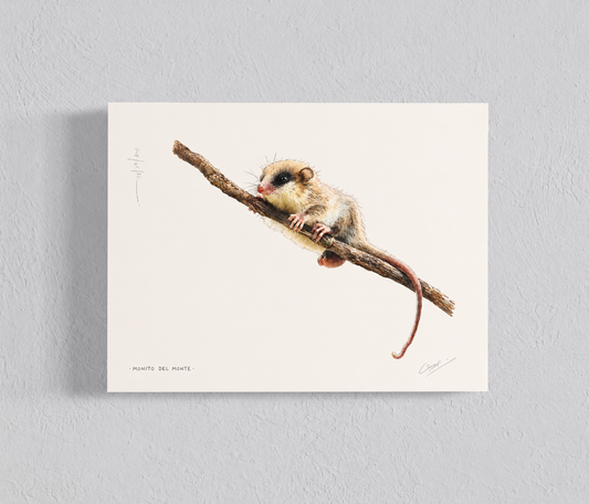 Monito del monte