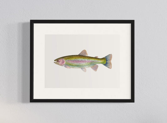 CUADRO TRUCHA ARCOIRIS
