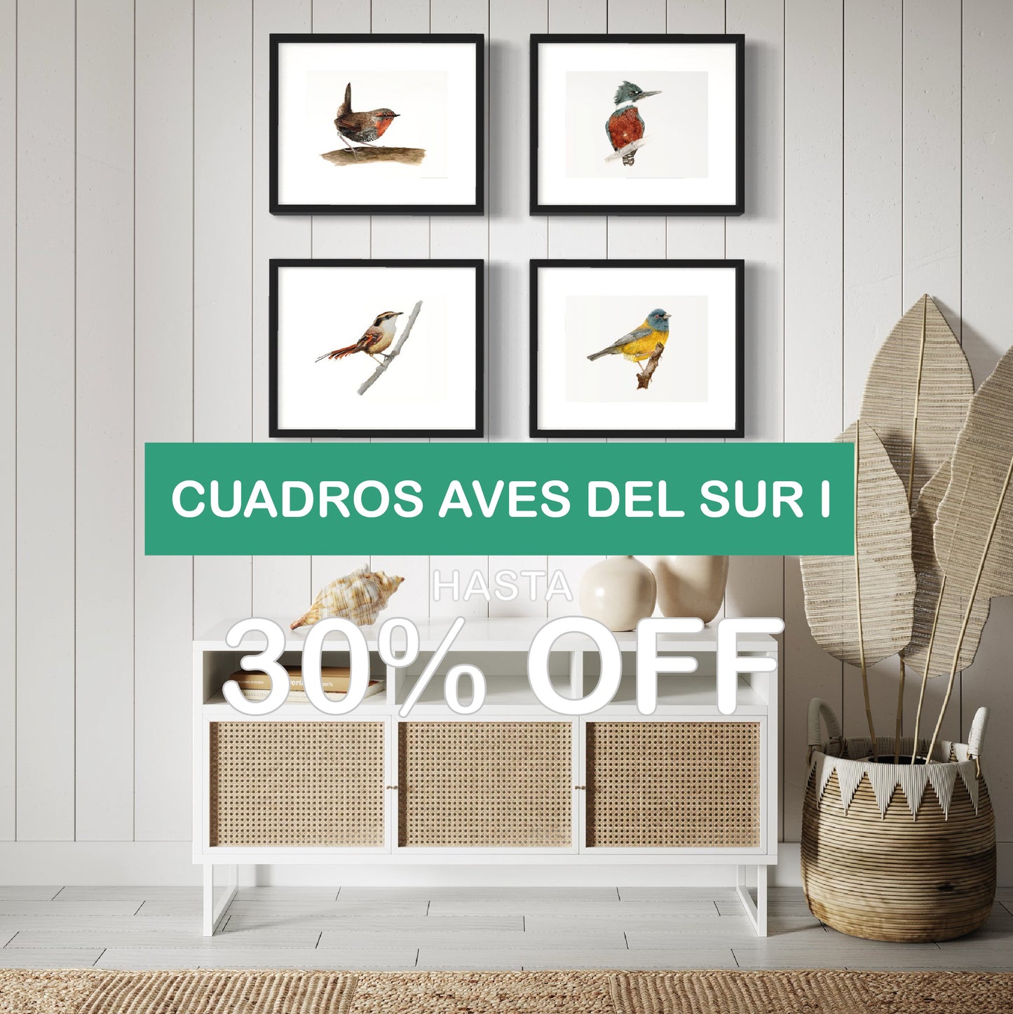 PACK 4 CUADROS AVES DEL SUR I