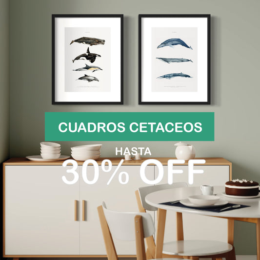 PACK 2 CUADROS CETÁCEOS