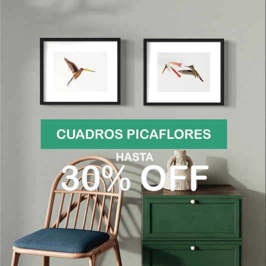 PACK 2 CUADROS PICAFLORES