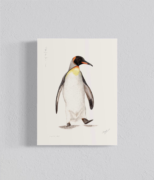 Ilustración Pingüino Rey