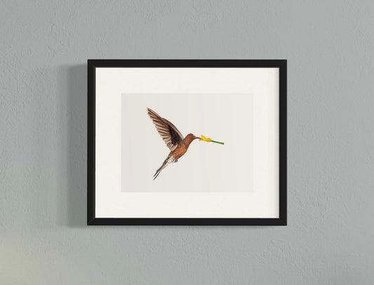 CUADRO PICAFLOR GIGANTE