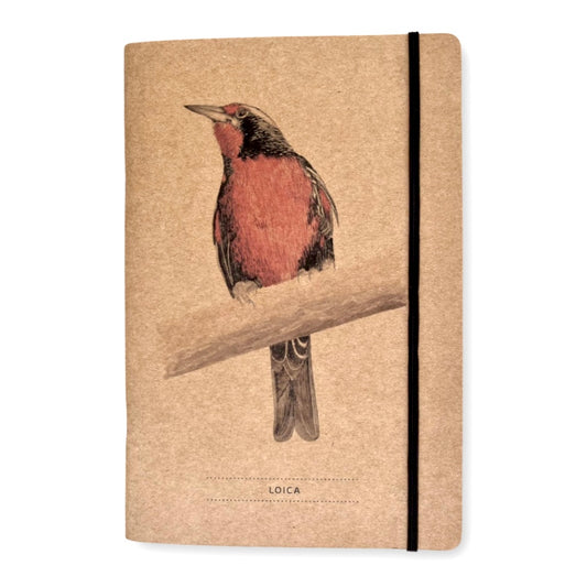 Libreta de apuntes Loica