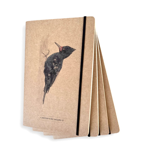 Pack libreta de apuntes