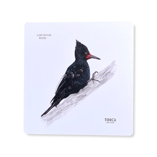 Mouse pad Carpintero negro