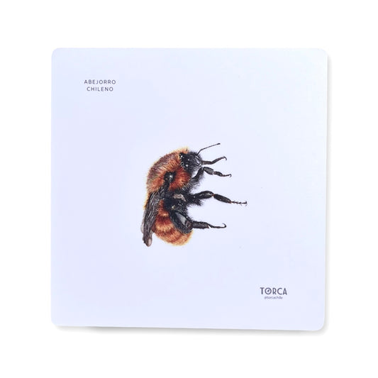 Mouse pad Abejorro chileno