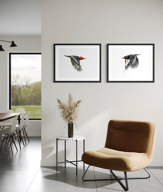 PACK Ilustraciones Carpinteros en vuelo